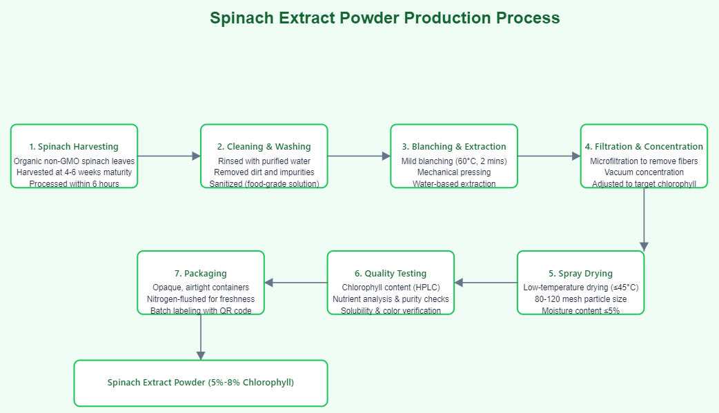 Organic spinach extract powder Organic spinach extract powder