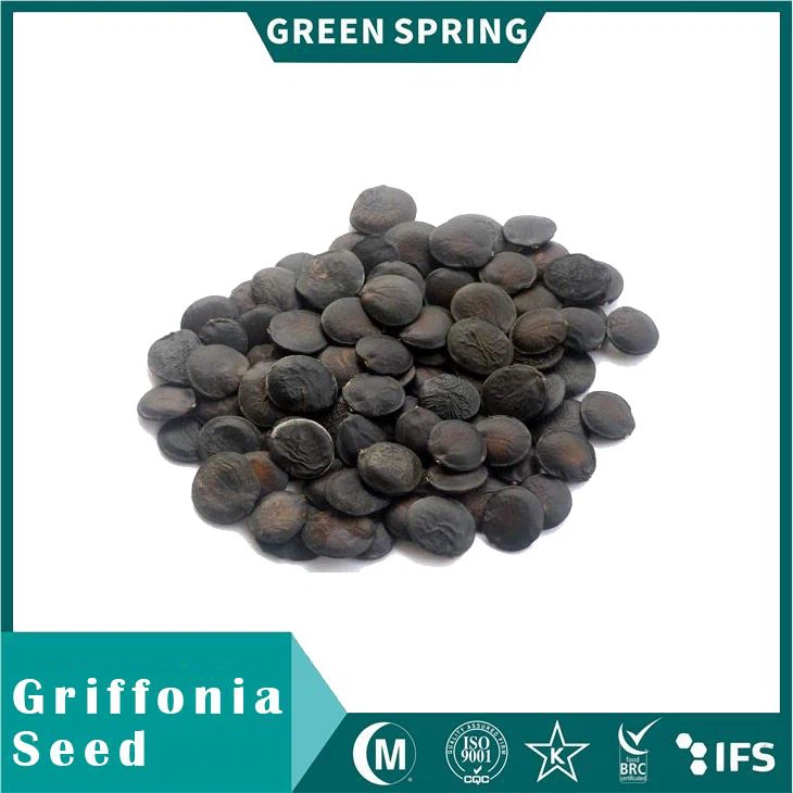 Griffonia Seed 